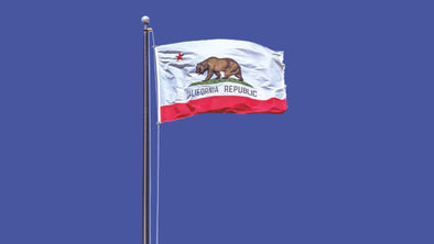 What is the State Flag of California Represent?