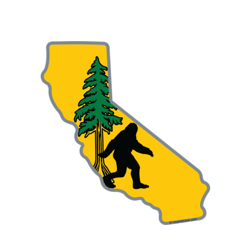 Bigfoot in California | Redwood Tree Sticker | Vinyl Decal